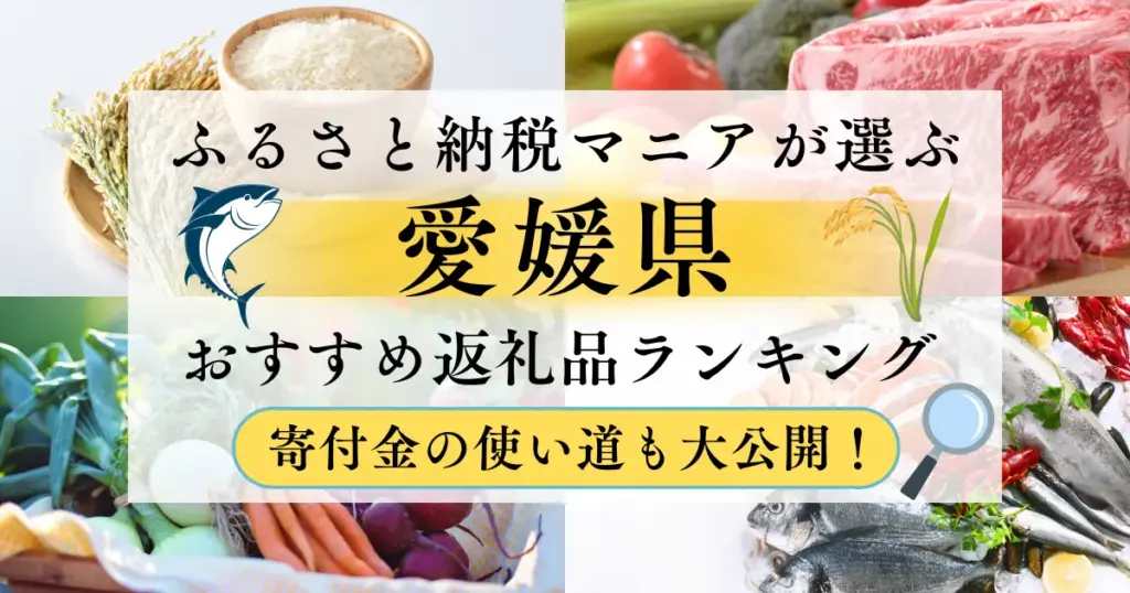 愛媛県ふるさと納税返礼品
