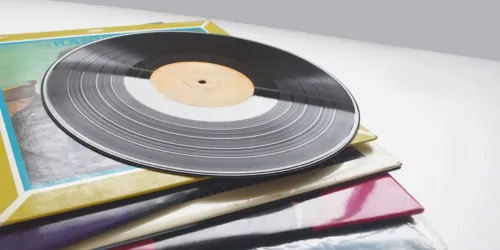 レコード専門の知識と査定力があるか